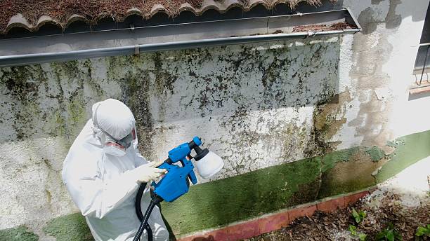 Trusted Bathroom Mold Removal service in Waverly, VA - Cheap Mold Removal